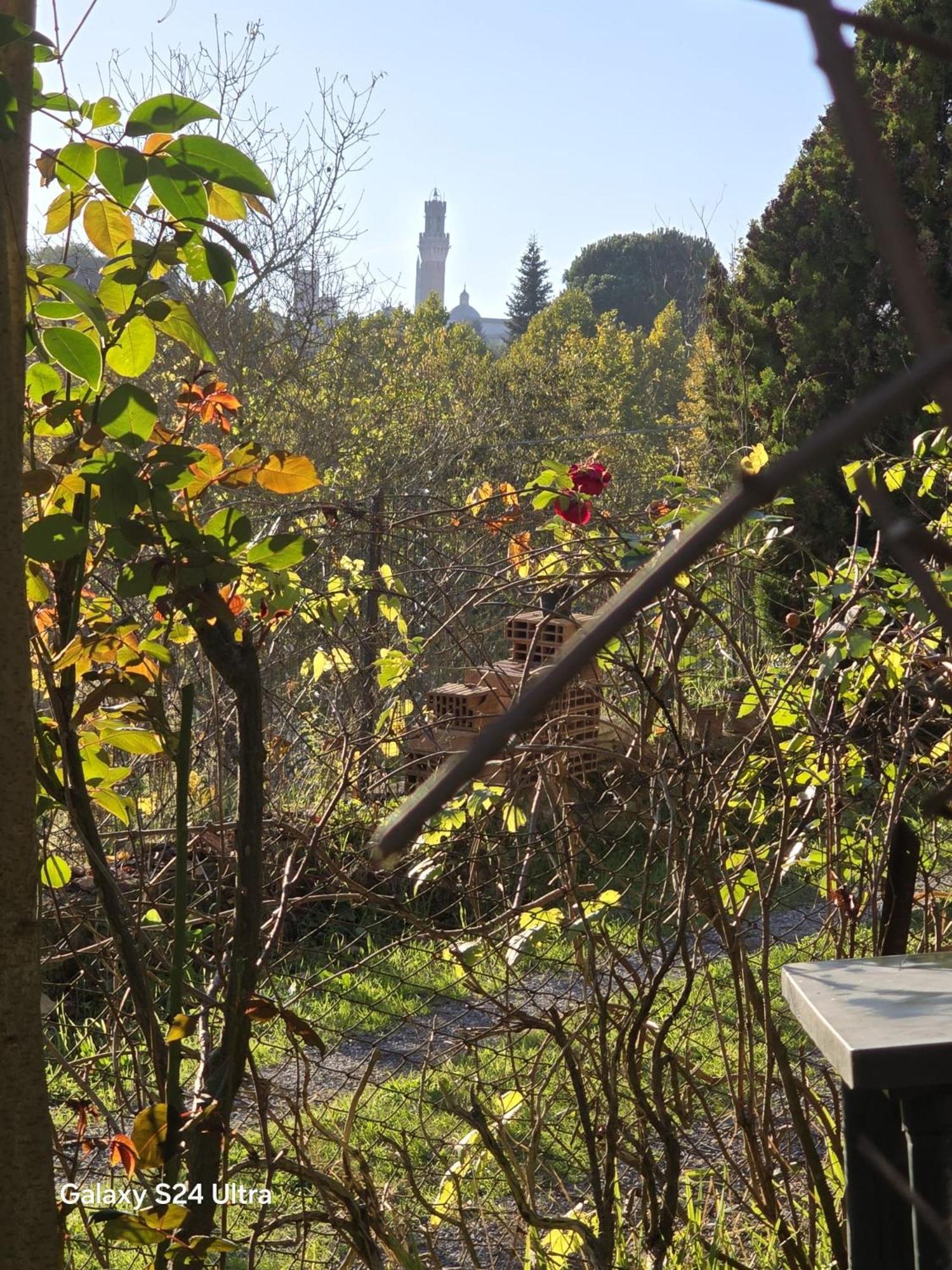 Podere Ponticini Siena Ngoại thất bức ảnh