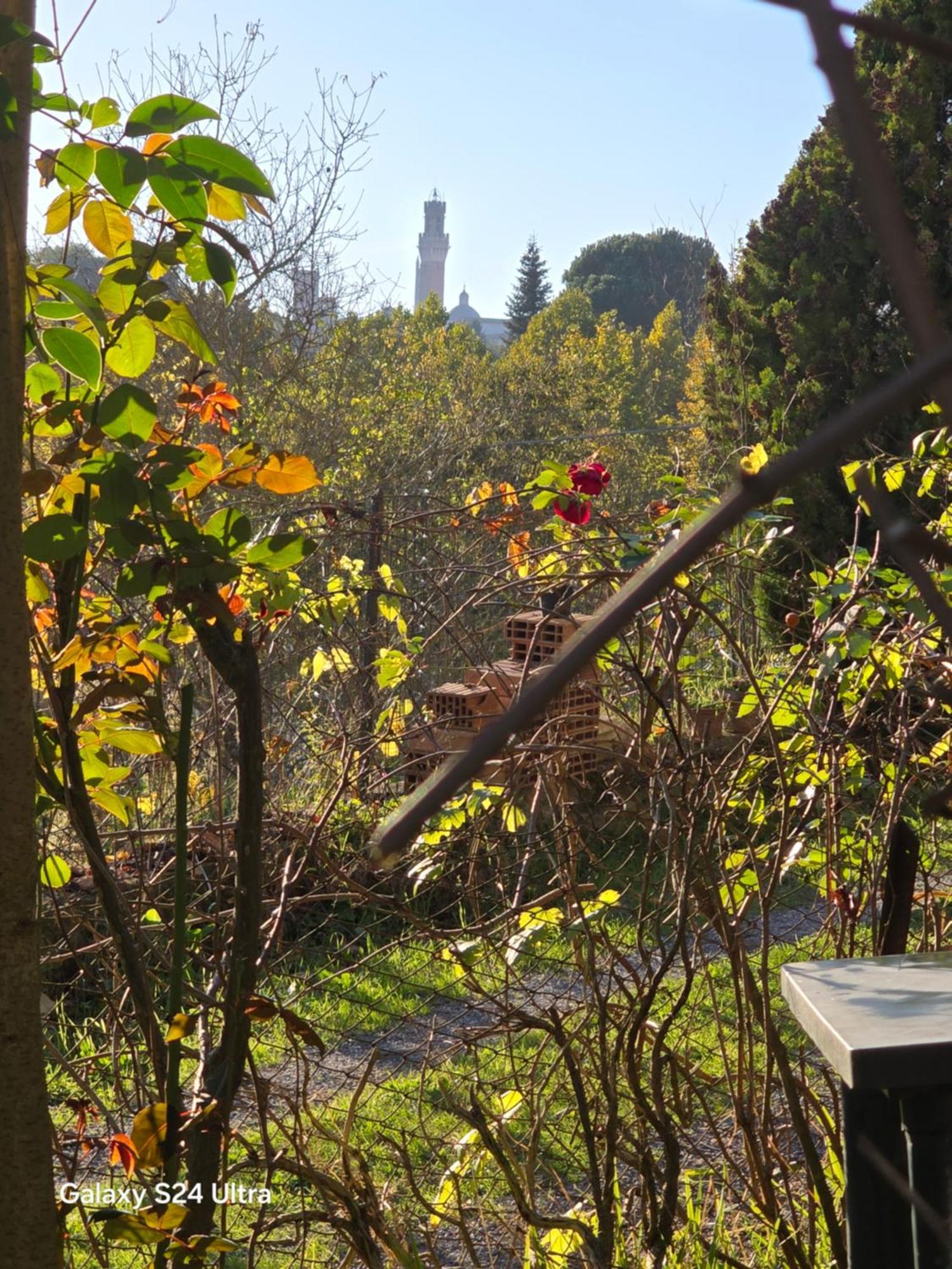Podere Ponticini Siena Ngoại thất bức ảnh